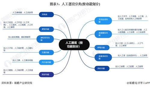 预见2024 2024年中国人工器官行业全景图谱 附市场现状 竞争格局和发展趋势等